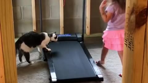 Funny animal with kids