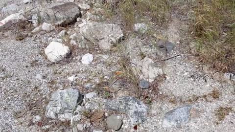 Mining Pyroxenite in Sand Canyon, California