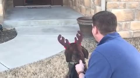 Parents Surprise Daughter with Dog she had been caring for at shelter.