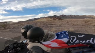 Dog Travels the World by Motorcycle
