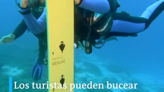 Video: conozca el museo submarino de Grecia