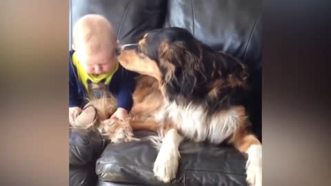 Baby Wants to Lick Dog