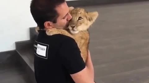 Cub Loves his Caretaker