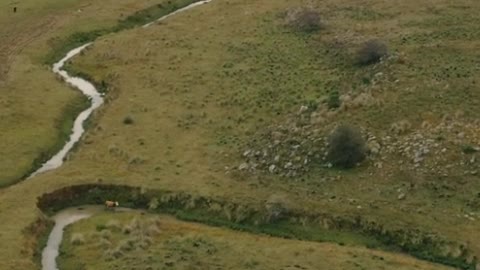 .Aerial view of a green field with rivers