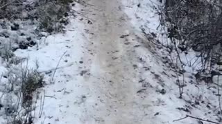 Navy hoodie snow trail board slide