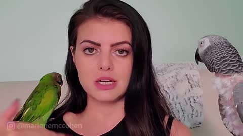 THE BEST WAYS TO TEACH YOUR PARROT TO TALK!