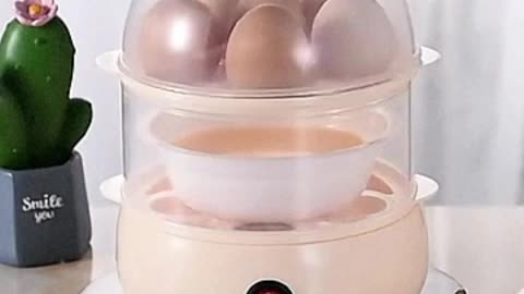 2 Layer Food Steamer Egg Cooker Boiler Kitchen Appliances