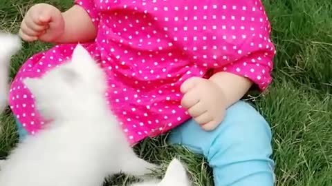 Cute Girl Playing with beautiful Cats at his garden.