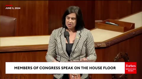 'Destroying This Country'- Malliotakis Slams 'Radical Leftists' After A Migrant Shot 2 NYPD Officers