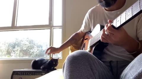 Cat Singing Blues