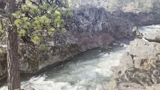 Overlook of Dillon Falls Canyon Area – Deschutes River Trail – Central Oregon
