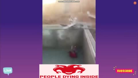 PEOPLE DYING INSIDE (EPISODE 2) compilation