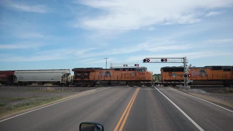 5/31/2023 Hey Look its the Trump Train!