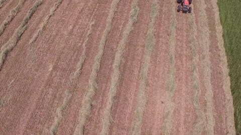 QUINTON WORKS ON FARM IN WI