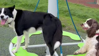 Puppy-Powered Merry-Go-Round