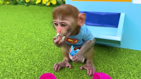 Monkey Baby Bon Bon takes the duckling to toilet