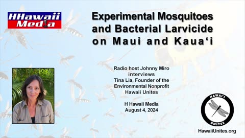 Experimental Mosquitoes and Bacterial Larvicide on Maui and Kauai (8/4/24)