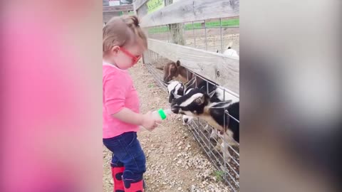 Funny Animals and little kids Reactions - Lots of Fun