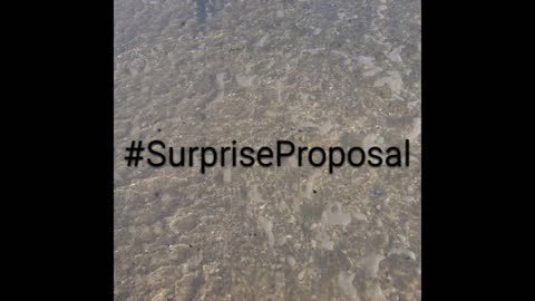 Surprise Sunset Beach Proposal, He wants to marry her!