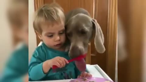 The kid was left without food | the dog was first.