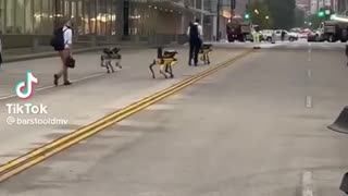Robot dogs spotted in Washington