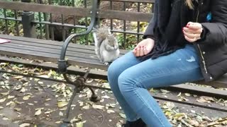 Woman on park bench feeding squirrel