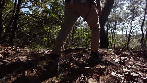 Waves coming to the beach,Man walking through forest