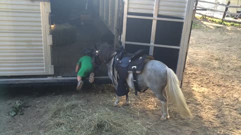 Miniature Pony and his Miniature Trainer
