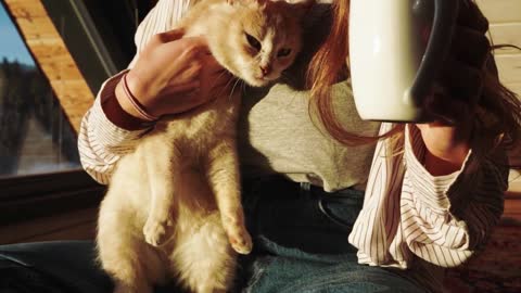 Woman with cat relaxing at wooden house among mountains