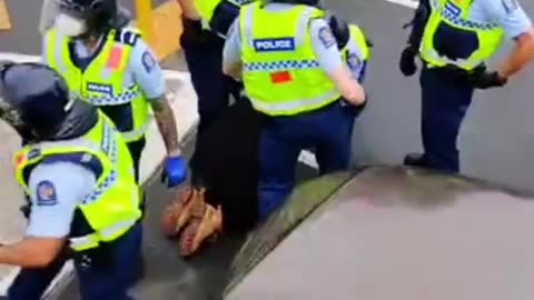 Female Protester Bashed By Police