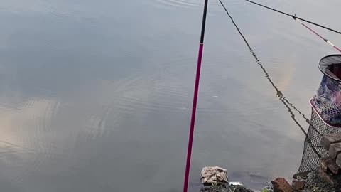 just fishing