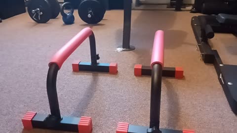 Is this a must have for your home gym?