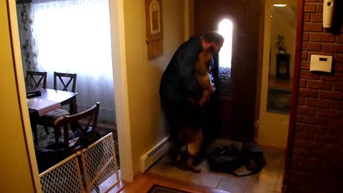 Excited dog dances in circles when owner arrives