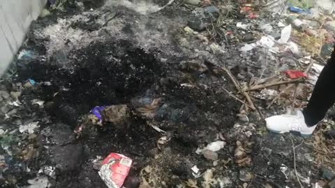 Woman’s dismembered, burnt body found in bin