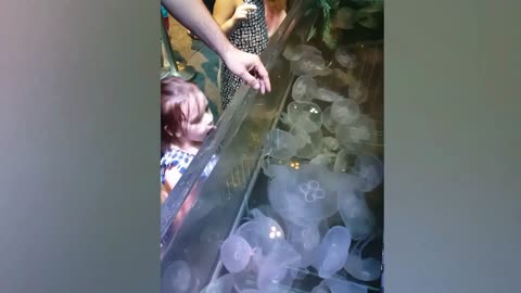 Funny Kids at the Aquarium_ Best Funny Videos