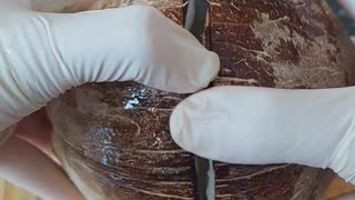 Crack, Grate, Enjoy: Opening and Extracting Coconut Flesh: Coconut hacks: #shorts #fruithacks