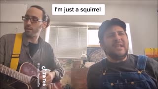 I'm Just a Squirrel