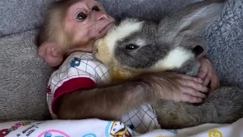 Bedtime Routine: Monkey Tucks Bunny into Their Cozy Bed