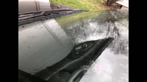 ASMR Rainfall on Car with Ambience for Relaxation
