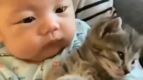 Biby vs cat funny