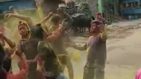 Indian festival Holi bihari style