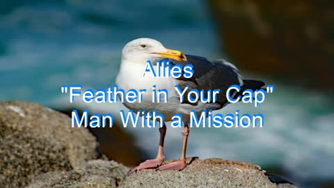 Allies - Feather in Your Cap #220