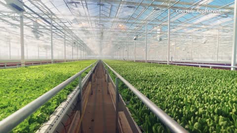 Indoor farming - the future of food