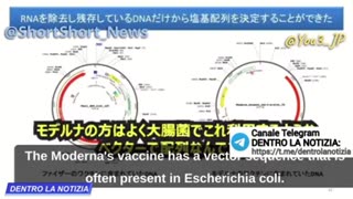 Sieri contaminati da DNA e SV40 cellule cancerogene!