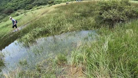 Xiangtian Pond in Yangmingshan