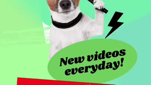 Dogs🐕are good human imitator _ Funny animals video_ Smart dog#shorts#imitator #funnydogvideos