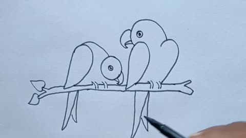 How To Draw Two Bird With 2022