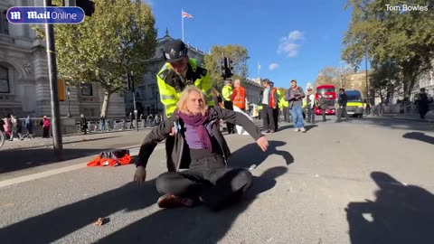 Just Stop Oil protesters at the Cenotaph as they are dragged away by police