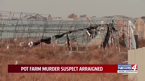 Marijuana farm murder suspect's bond denied