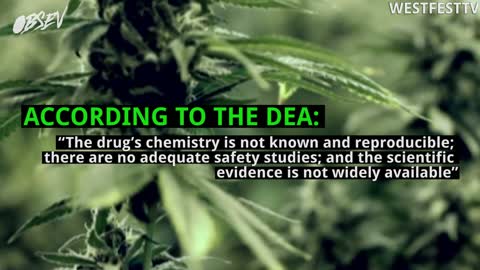 DEA Keeps Marijuana Illegal